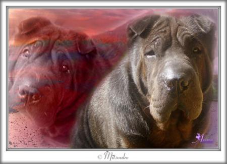 Montage par Ugoline :-)