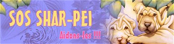 Un lien vers un sîte d'adoption de shar-peis. Créé par des passionnés.